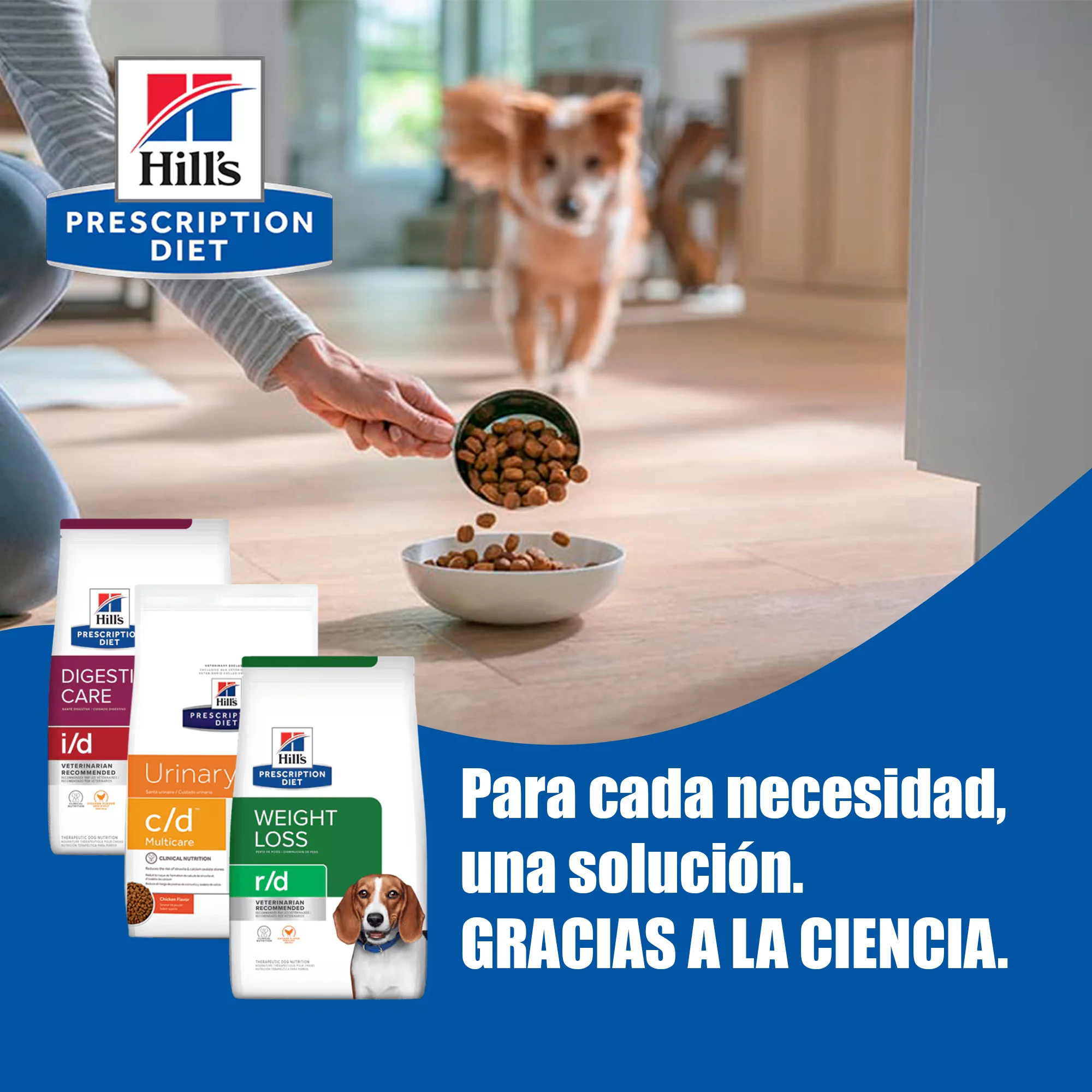 HILLS PRESCIPTION DIET